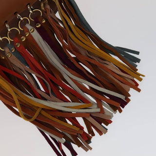 Chloe Multicolor Fringe Hudson Bag Leather