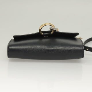 Chloe Faye Shoulder Bag Leather and Suede