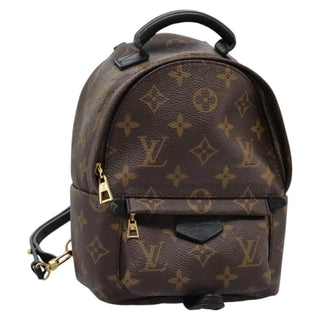 Louis Vuitton Palm Springs Backpack Monogram Canvas