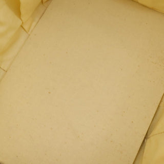 Louis Vuitton Dog Carrier Bag Monogram Canvas