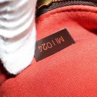 Louis Vuitton Olav Handbag Damier