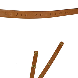 Louis Vuitton Florentine Waist Bag Monogram Canvas