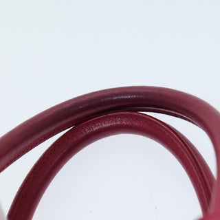 Saint Laurent Sac de Jour Carryall Bag Leather