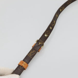 Louis Vuitton Danube 15 Crossbody Bag Monogram Canvas