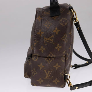 Louis Vuitton Palm Springs Backpack Monogram Canvas