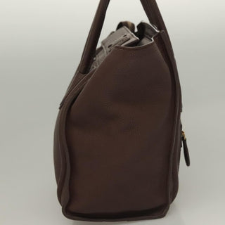 Celine Shopper Luggage Leather