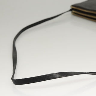 Celine Trio Crossbody Bag Leather