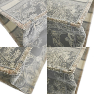 Christian Dior Book Tote Embroidered Canvas