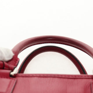 Loewe Amazona Bag Leather