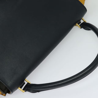 Celine Trapeze Bag Leather with Suede
