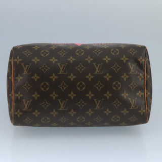 Louis Vuitton Speedy Handbag Limited Edition V Monogram Canvas