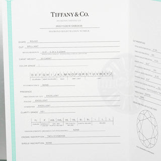 Tiffany & Co. Tiffany Setting Solitaire Ring Platinum with Diamond