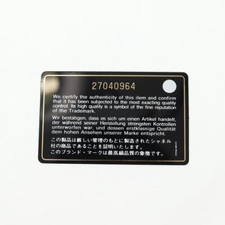 Chanel La Pausa Bay Camera Case Bag Printed Canvas