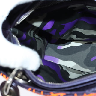 Christian Dior Lady Dior Bag Anselm Reyle Cannage Quilt Leather