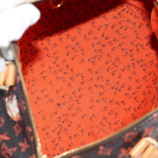 Louis Vuitton Speedy Bandouliere Bag Limited Edition Grace Coddington Catogram Canvas