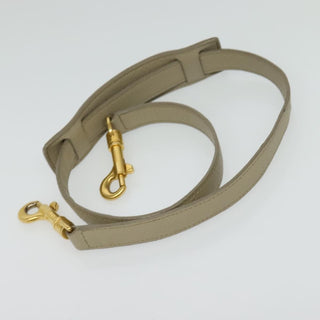 Celine Tricolor Trapeze Bag Leather