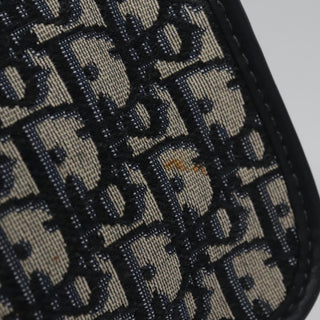 Christian Dior Diorquake Clutch Oblique Canvas