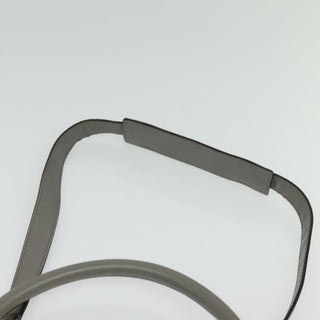 Celine Trapeze Bag Suede