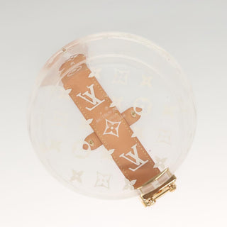 Louis Vuitton Box Scott Trunk Monogram Plexiglass