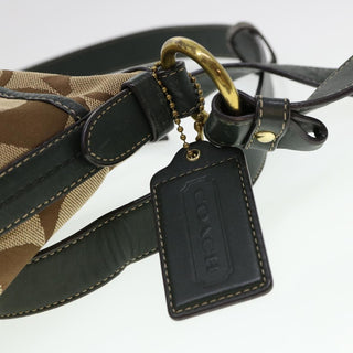 Coach Bag Sling