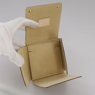 Louis Vuitton CASE JEWELRY BOX Canvas