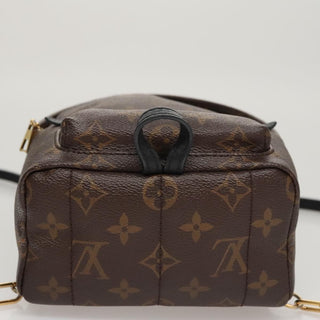 Louis Vuitton Palm Springs Backpack Monogram Canvas
