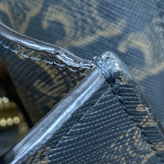 Celine Vertical Cabas Tote Triomphe Coated Canvas