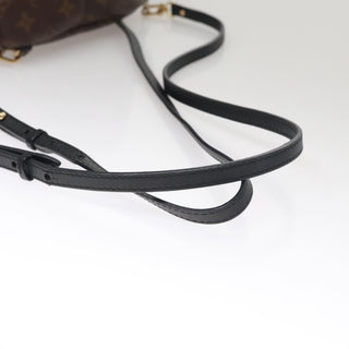 Louis Vuitton Palm Springs Backpack Monogram Canvas