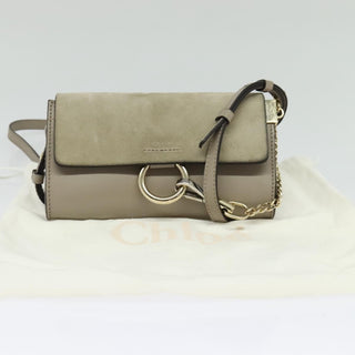 Chloe Faye Shoulder Bag Leather and Suede