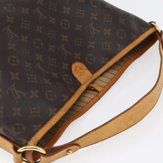 Louis Vuitton Delightful Handbag Monogram Canvas