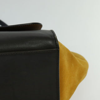 Celine Trapeze Bag Leather with Suede