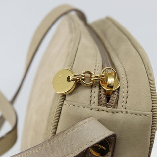 Salvatore Ferragamo Vala Shoulder Bag Suede