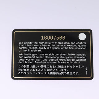 Chanel Natural Beauty Flap Bag Suede