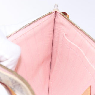 Louis Vuitton Neverfull Pochette Damier