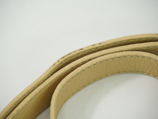 Fendi Chameleon Satchel Leather