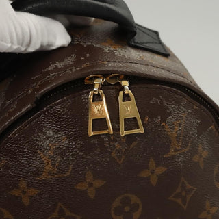 Louis Vuitton Palm Springs Backpack Reverse Monogram Canvas