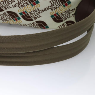 Gucci Gucci x The North Face Zip Backpack Printed Nylon