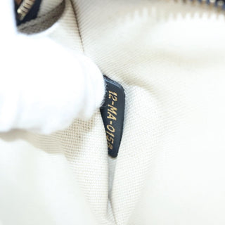 Christian Dior Diorquake Clutch Oblique Canvas