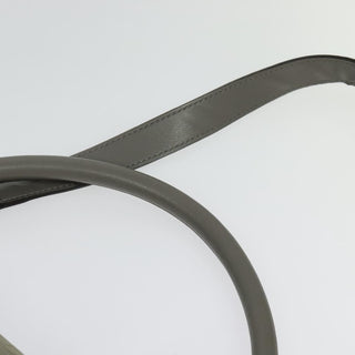 Celine Trapeze Bag Suede