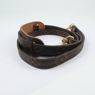 Louis Vuitton Bandouliere Monogram Canvas and Leather