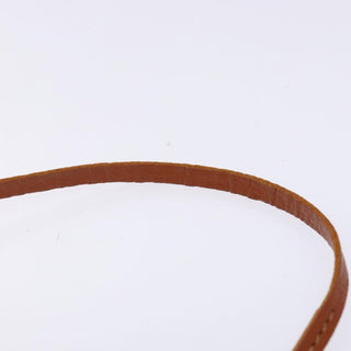 Louis Vuitton Papillon Pochette Monogram Canvas