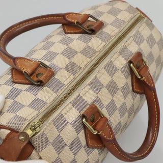 Louis Vuitton Speedy Handbag Damier