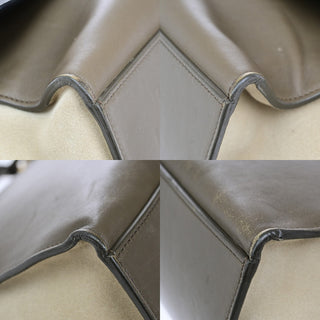 Celine Tricolor Trapeze Bag Leather