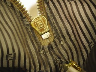 Fendi Chameleon Satchel Leather