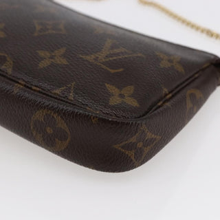 Louis Vuitton Pochette Accessoires Monogram Canvas