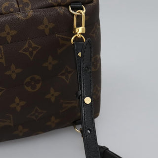 Louis Vuitton Palm Springs Backpack Monogram Canvas