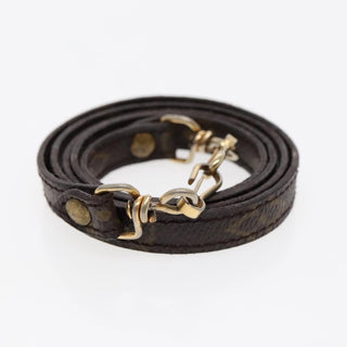 Louis Vuitton Bandouliere Monogram Canvas