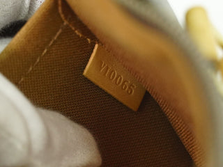 Louis Vuitton Popincourt Handle Bag Monogram Canvas