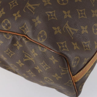 Louis Vuitton Flanerie Handbag Monogram Canvas