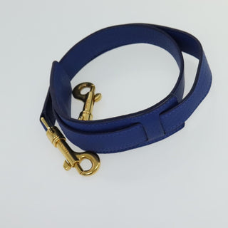 Celine Trapeze Bag Leather